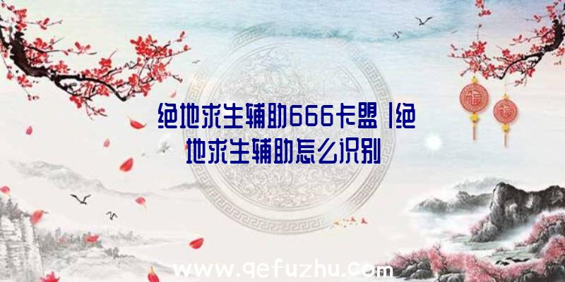 「绝地求生辅助666卡盟」|绝地求生辅助怎么识别